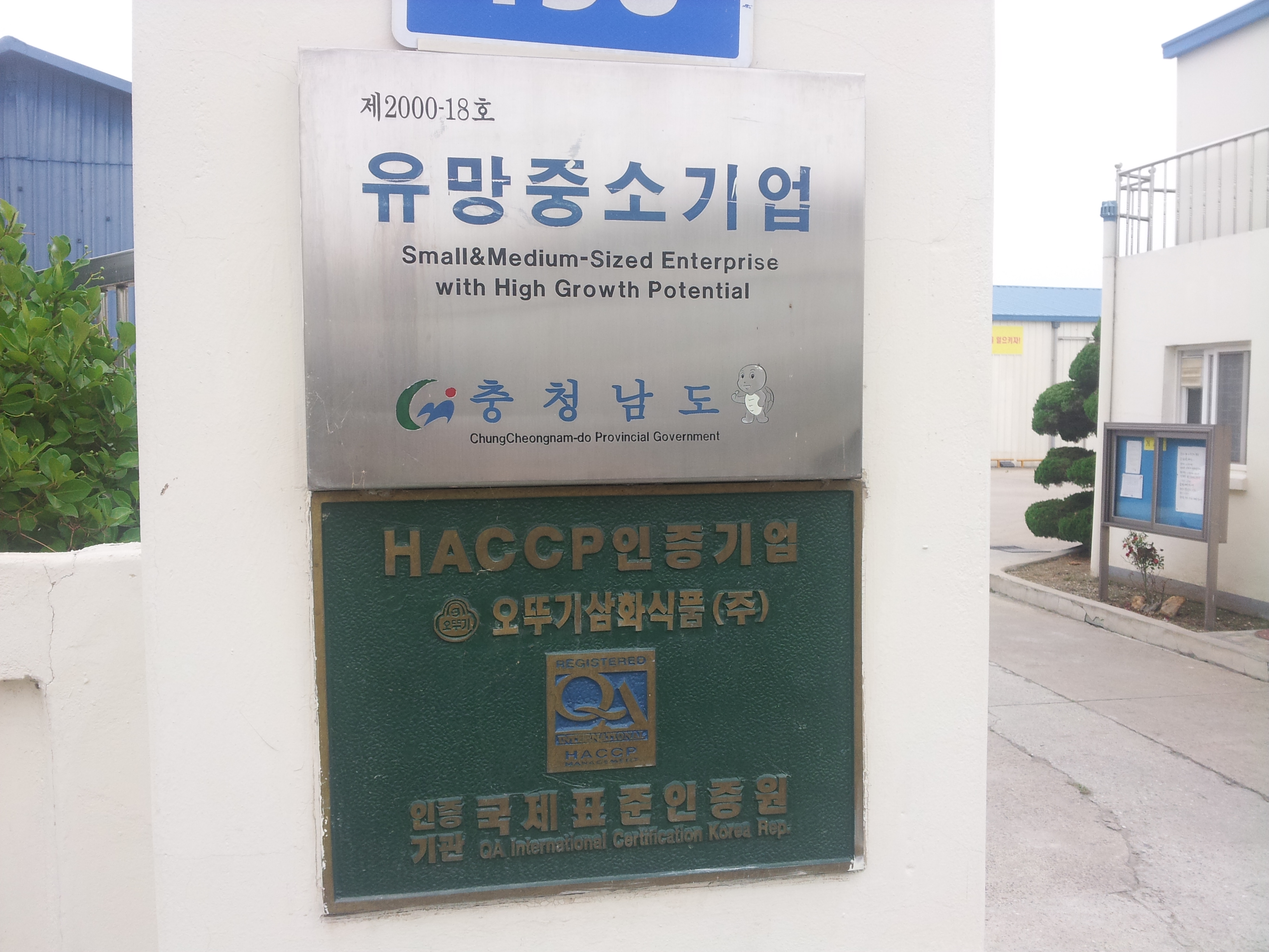 썸네일 사진